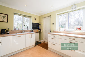 Photo 36- click for photo gallery